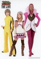 ホァン・パオリン/ドラゴンキッド